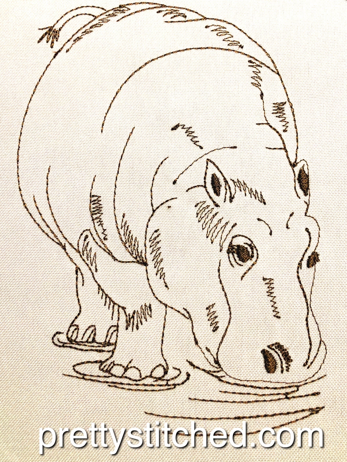 HIPPOPOTAMUS