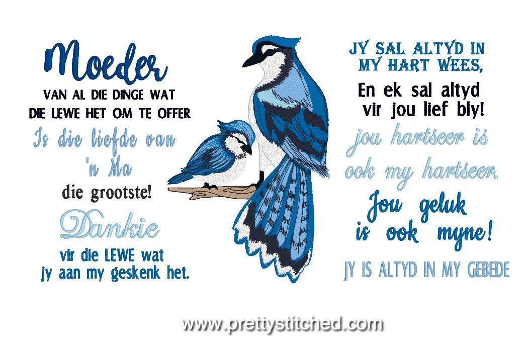 BLUE JAY BEWOORDING STEL